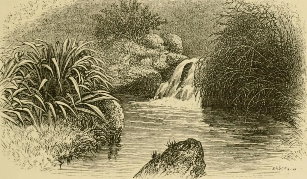 An illustration from The parks and gardens of Paris, considered in relation to the wants of other cities and of the public and private gardens; being notes on a study of Paris gardens, 1878, leaf 138
