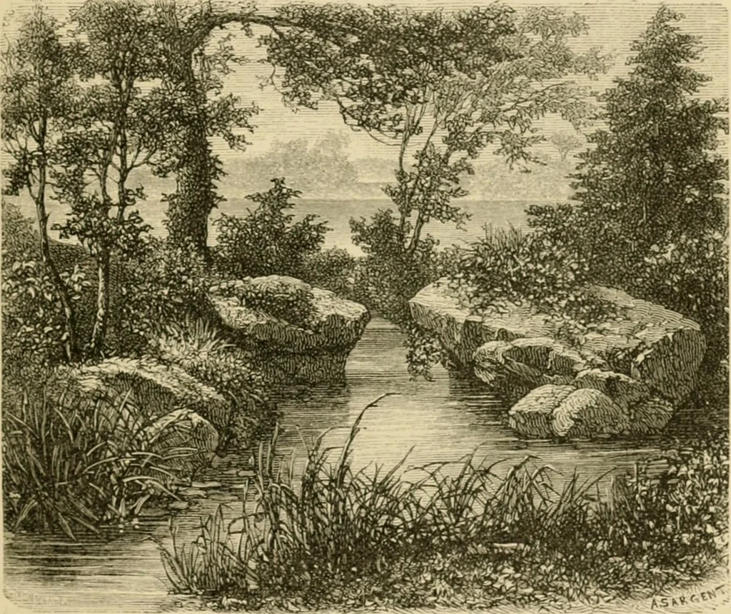 An illustration from The parks and gardens of Paris, considered in relation to the wants of other cities and of the public and private gardens; being notes on a study of Paris gardens, 1878, leaf 140