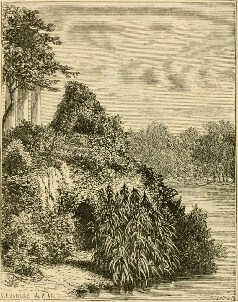 An illustration from The parks and gardens of Paris, considered in relation to the wants of other cities and of the public and private gardens; being notes on a study of Paris gardens, 1878, leaf 141