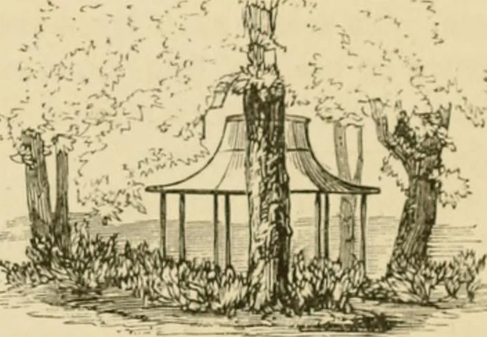 An illustration from The parks and gardens of Paris, considered in relation to the wants of other cities and of the public and private gardens; being notes on a study of Paris gardens, 1878, leaf 156