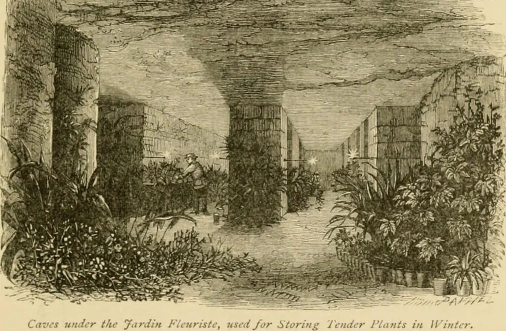An illustration from The parks and gardens of Paris, considered in relation to the wants of other cities and of the public and private gardens; being notes on a study of Paris gardens, 1878, leaf 208