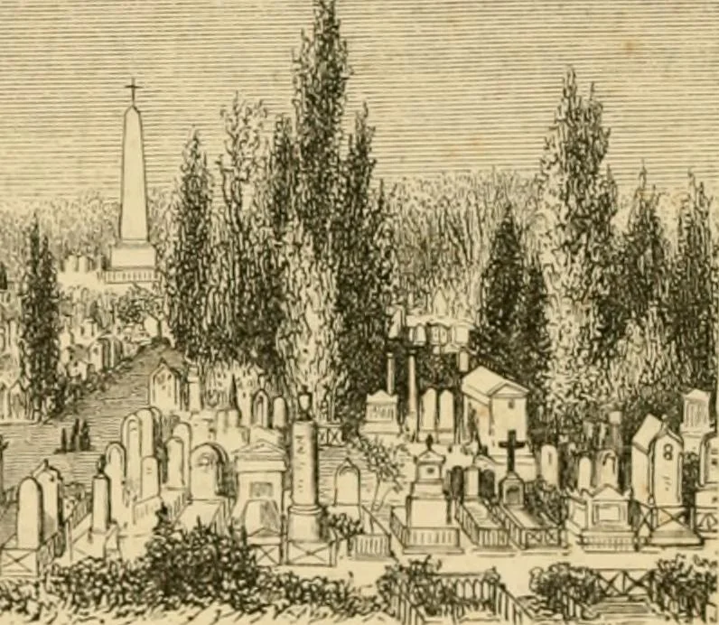 An illustration from The parks and gardens of Paris, considered in relation to the wants of other cities and of the public and private gardens; being notes on a study of Paris gardens, 1878, leaf 211