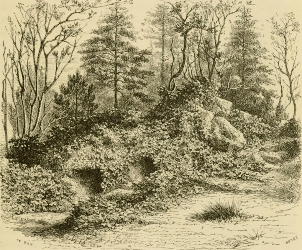 An illustration from The parks and gardens of Paris, considered in relation to the wants of other cities and of the public and private gardens; being notes on a study of Paris gardens, 1878, leaf 226