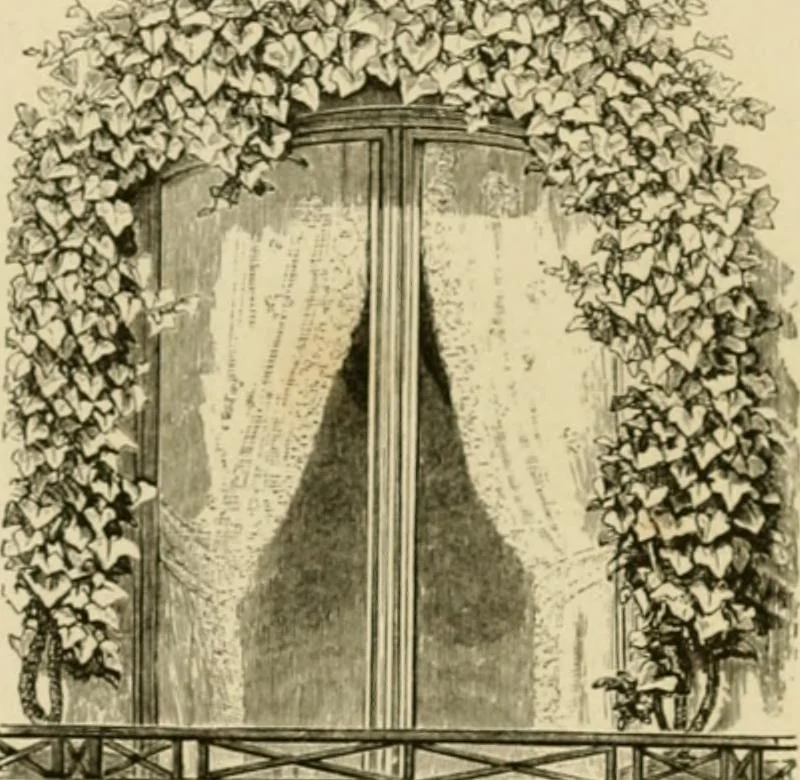 An illustration from The parks and gardens of Paris, considered in relation to the wants of other cities and of the public and private gardens; being notes on a study of Paris gardens, 1878, leaf 228