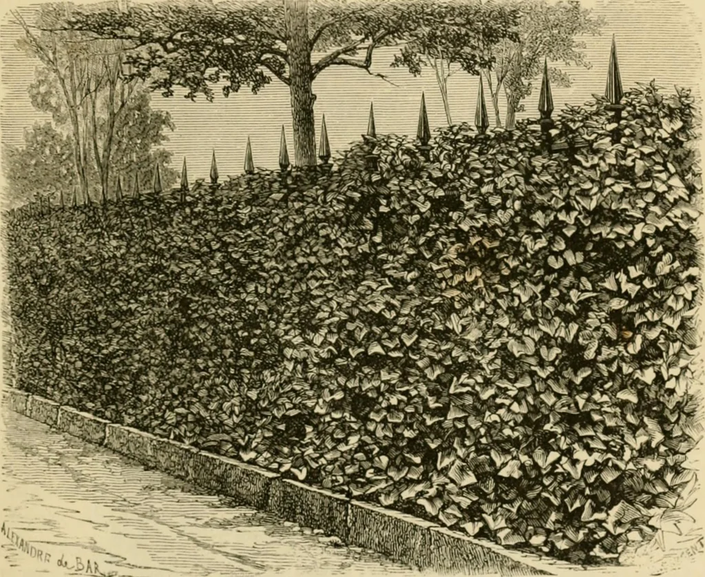 An illustration from The parks and gardens of Paris, considered in relation to the wants of other cities and of the public and private gardens; being notes on a study of Paris gardens, 1878, leaf 230