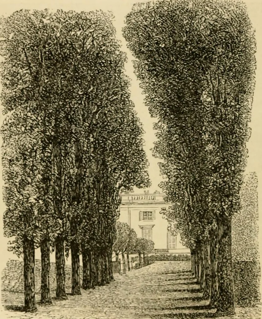 An illustration from The parks and gardens of Paris, considered in relation to the wants of other cities and of the public and private gardens; being notes on a study of Paris gardens, 1878, leaf 253