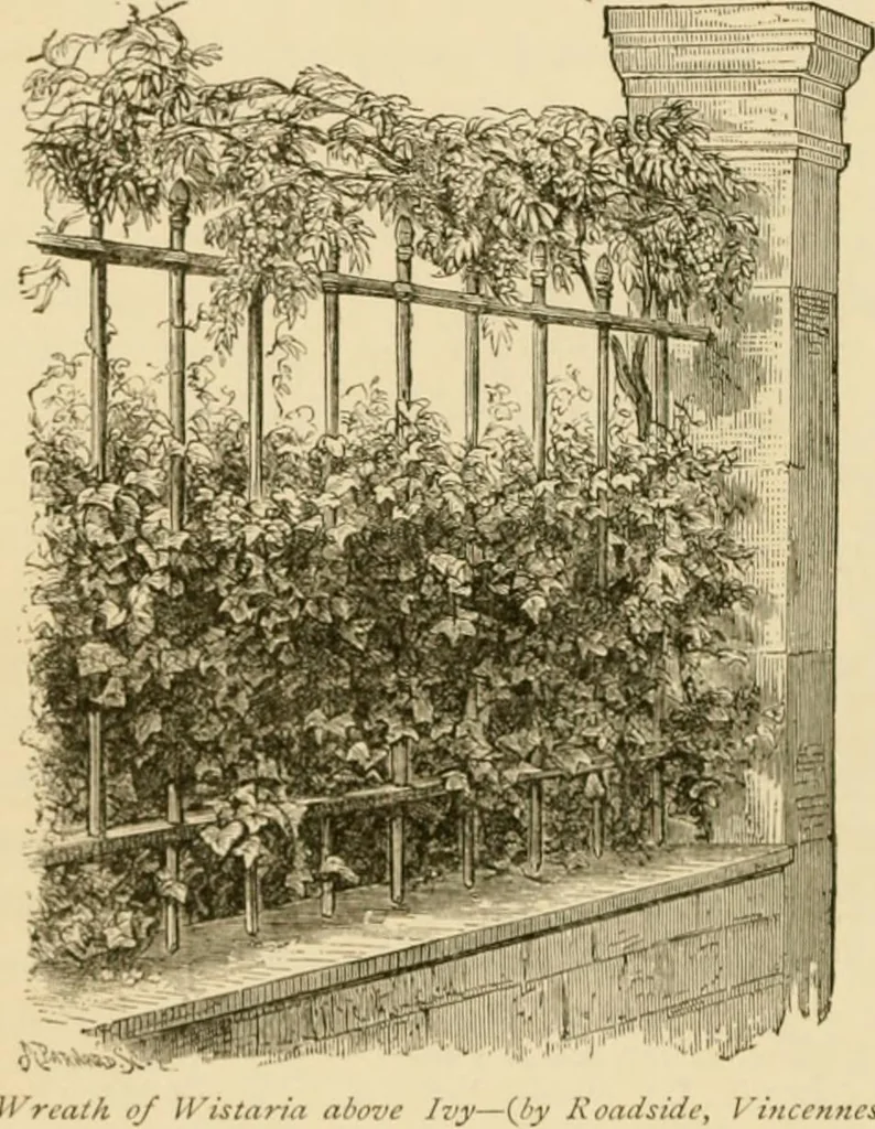 An illustration from The parks and gardens of Paris, considered in relation to the wants of other cities and of the public and private gardens; being notes on a study of Paris gardens, 1878, leaf 293