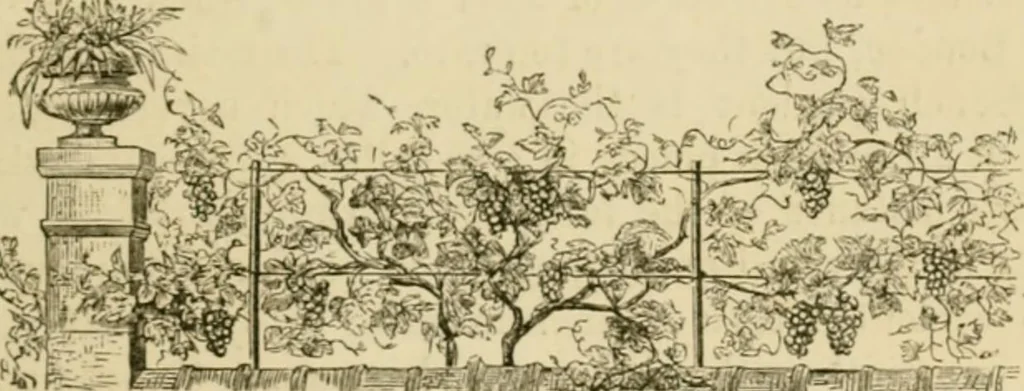 An illustration from The parks and gardens of Paris, considered in relation to the wants of other cities and of the public and private gardens; being notes on a study of Paris gardens, 1878, leaf 296
