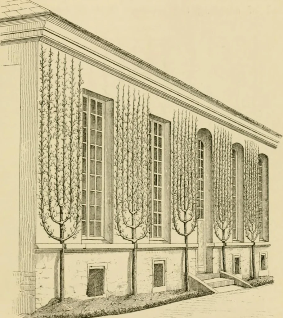 An illustration from The parks and gardens of Paris, considered in relation to the wants of other cities and of the public and private gardens; being notes on a study of Paris gardens, 1878, leaf 306