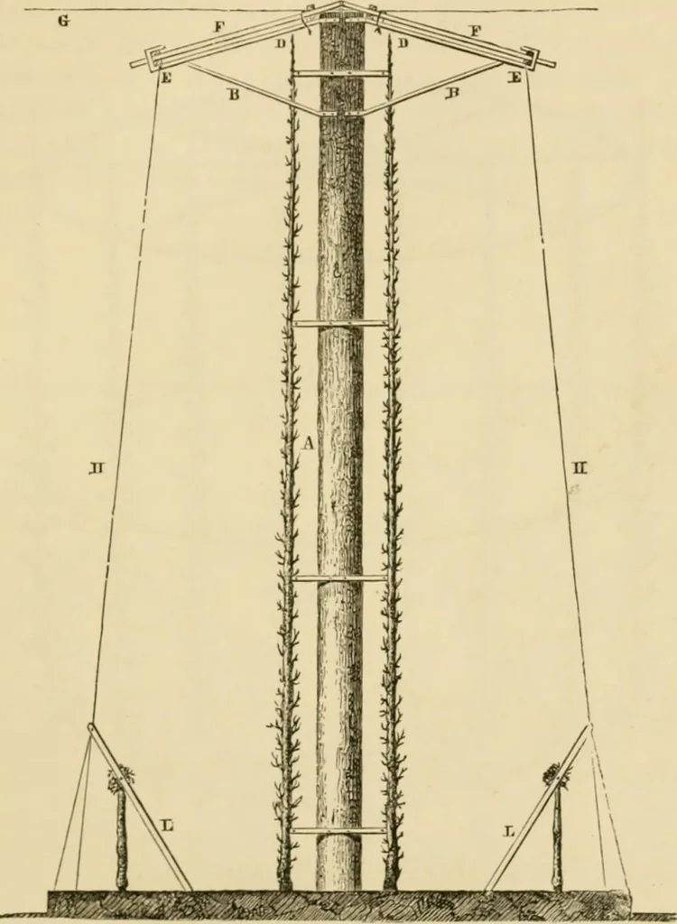 An illustration from The parks and gardens of Paris, considered in relation to the wants of other cities and of the public and private gardens; being notes on a study of Paris gardens, 1878, leaf 320