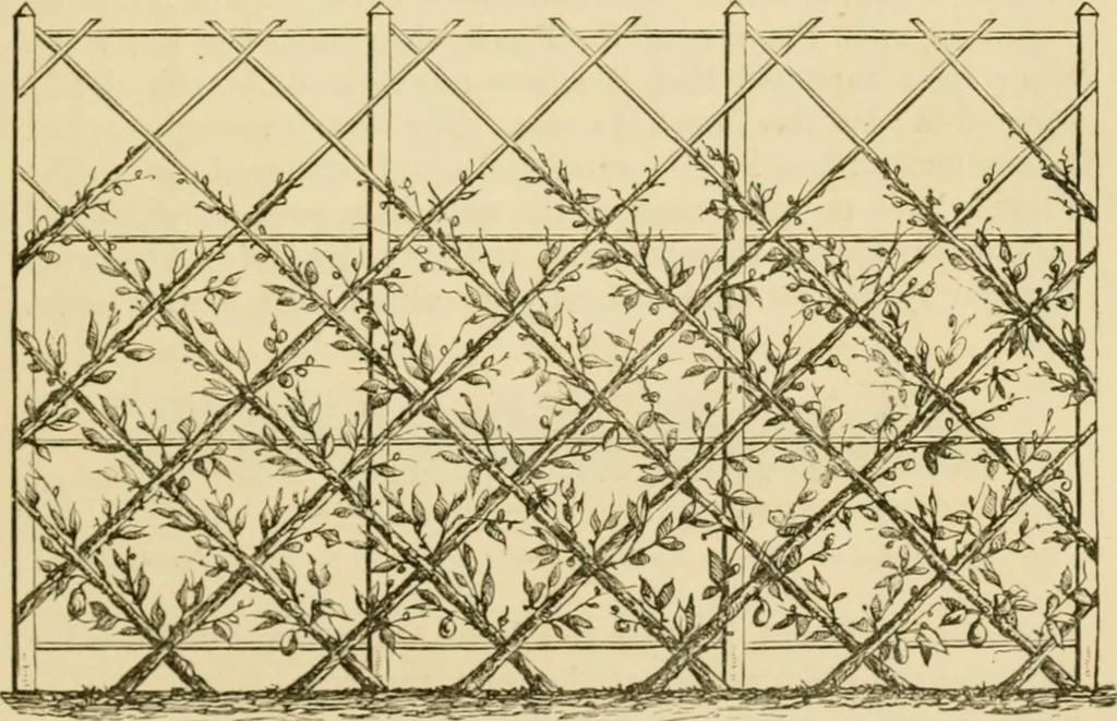 An illustration from The parks and gardens of Paris, considered in relation to the wants of other cities and of the public and private gardens; being notes on a study of Paris gardens, 1878, leaf 322