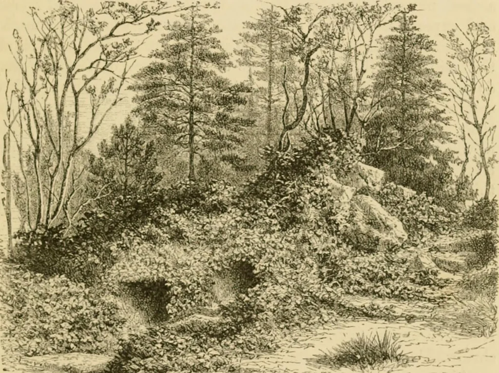 An illustration from The parks and gardens of Paris, considered in relation to the wants of other cities and of the public and private gardens; being notes on a study of Paris gardens, 1878, leaf 34