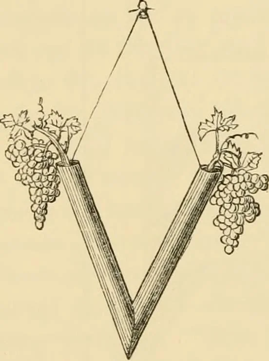 An illustration from The parks and gardens of Paris, considered in relation to the wants of other cities and of the public and private gardens; being notes on a study of Paris gardens, 1878, leaf 363