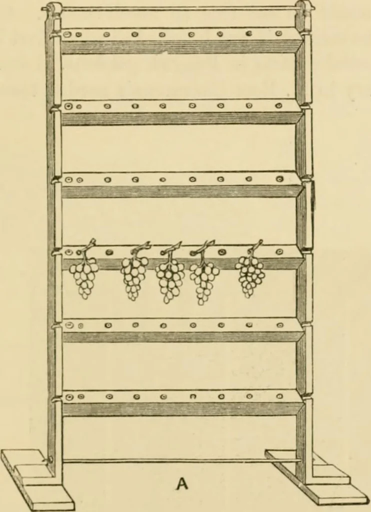 An illustration from The parks and gardens of Paris, considered in relation to the wants of other cities and of the public and private gardens; being notes on a study of Paris gardens, 1878, leaf 364