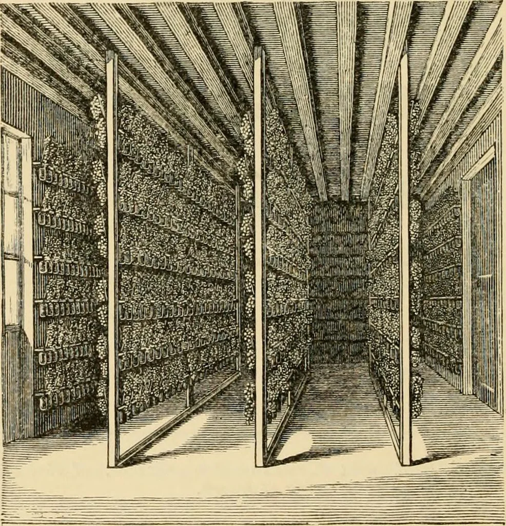 An illustration from The parks and gardens of Paris, considered in relation to the wants of other cities and of the public and private gardens; being notes on a study of Paris gardens, 1878, leaf 365