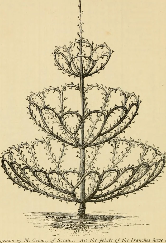 An illustration from The parks and gardens of Paris, considered in relation to the wants of other cities and of the public and private gardens; being notes on a study of Paris gardens, 1878, leaf 373