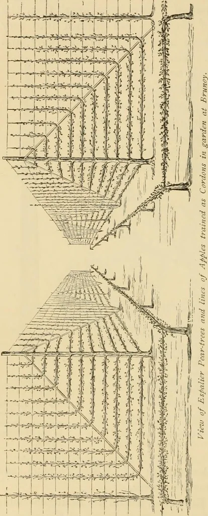 An illustration from The parks and gardens of Paris, considered in relation to the wants of other cities and of the public and private gardens; being notes on a study of Paris gardens, 1878, leaf 375