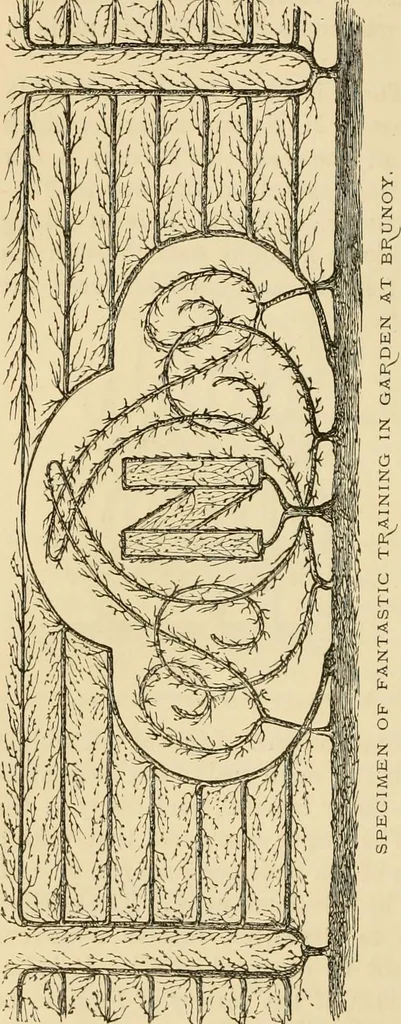 An illustration from The parks and gardens of Paris, considered in relation to the wants of other cities and of the public and private gardens; being notes on a study of Paris gardens, 1878, leaf 379