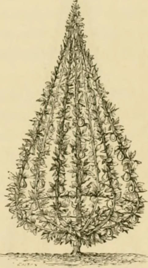 An illustration from The parks and gardens of Paris, considered in relation to the wants of other cities and of the public and private gardens; being notes on a study of Paris gardens, 1878, leaf 380