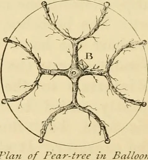 An illustration from The parks and gardens of Paris, considered in relation to the wants of other cities and of the public and private gardens; being notes on a study of Paris gardens, 1878, leaf 381