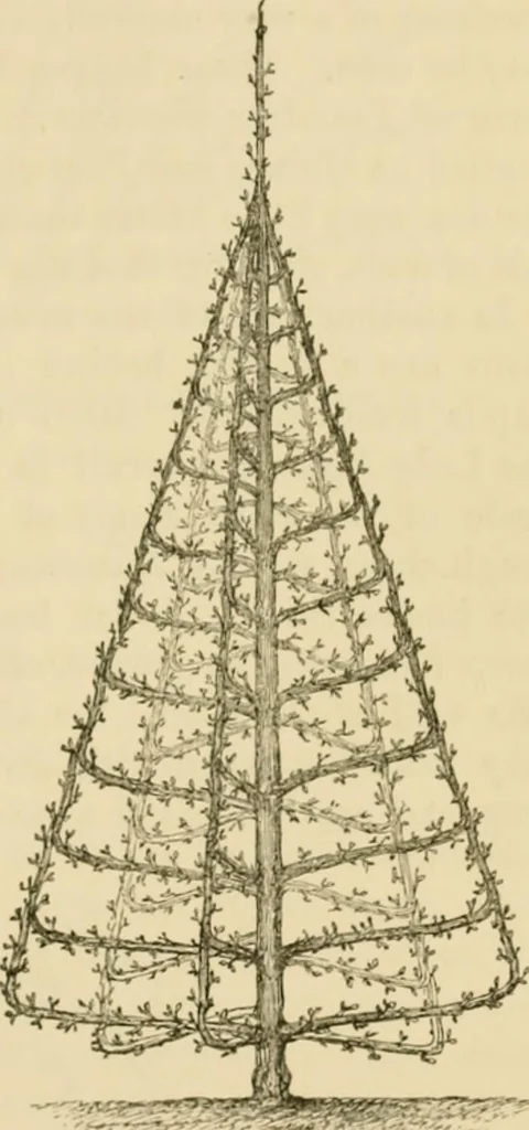 An illustration from The parks and gardens of Paris, considered in relation to the wants of other cities and of the public and private gardens; being notes on a study of Paris gardens, 1878, leaf 392