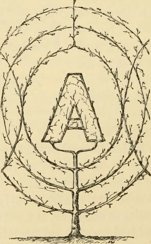 An illustration from The parks and gardens of Paris, considered in relation to the wants of other cities and of the public and private gardens; being notes on a study of Paris gardens, 1878, leaf 393