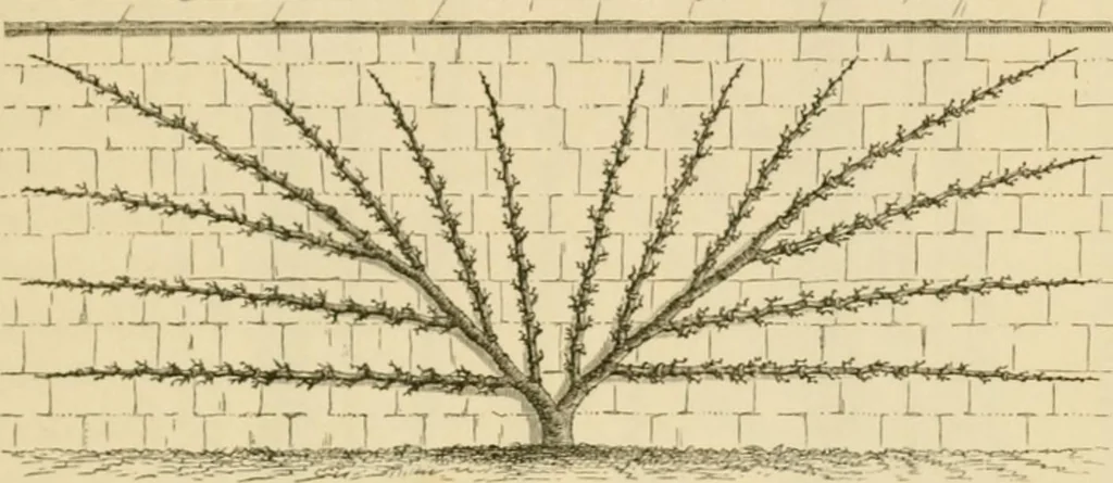 An illustration from The parks and gardens of Paris, considered in relation to the wants of other cities and of the public and private gardens; being notes on a study of Paris gardens, 1878, leaf 394