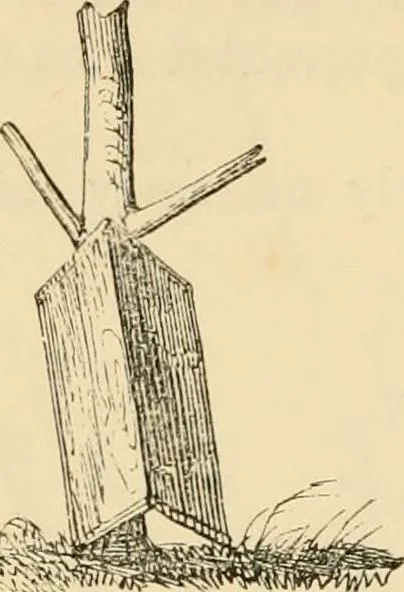 An illustration from The parks and gardens of Paris, considered in relation to the wants of other cities and of the public and private gardens; being notes on a study of Paris gardens, 1878, leaf 399