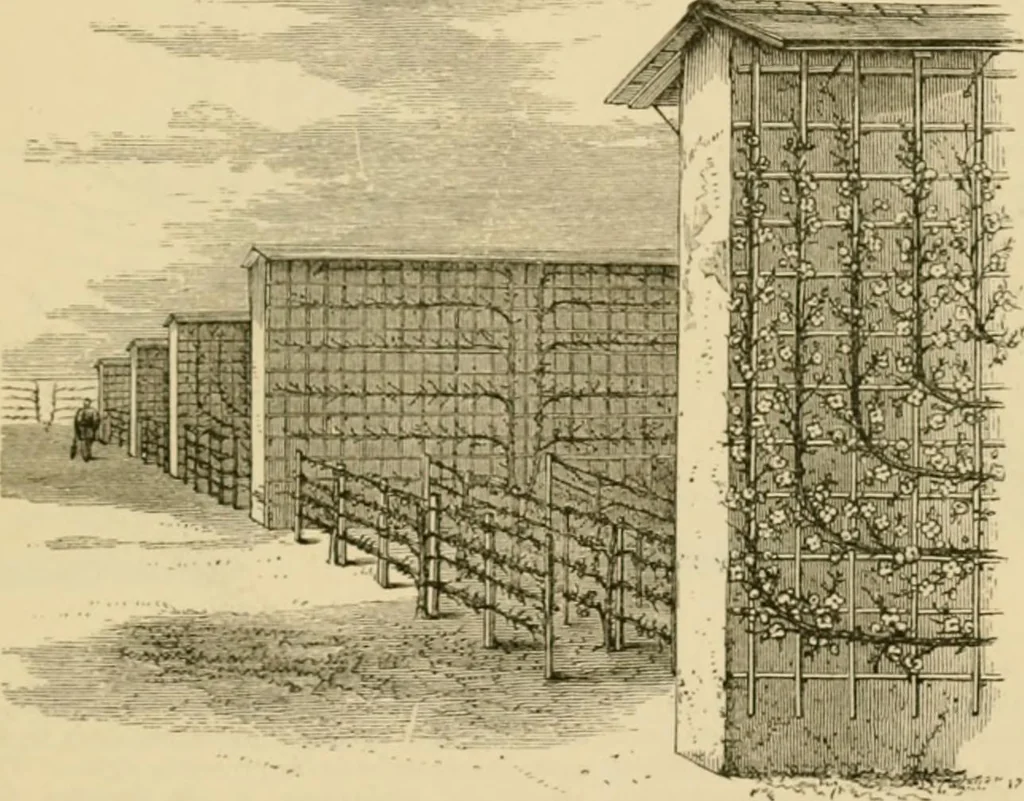 An illustration from The parks and gardens of Paris, considered in relation to the wants of other cities and of the public and private gardens; being notes on a study of Paris gardens, 1878, leaf 402
