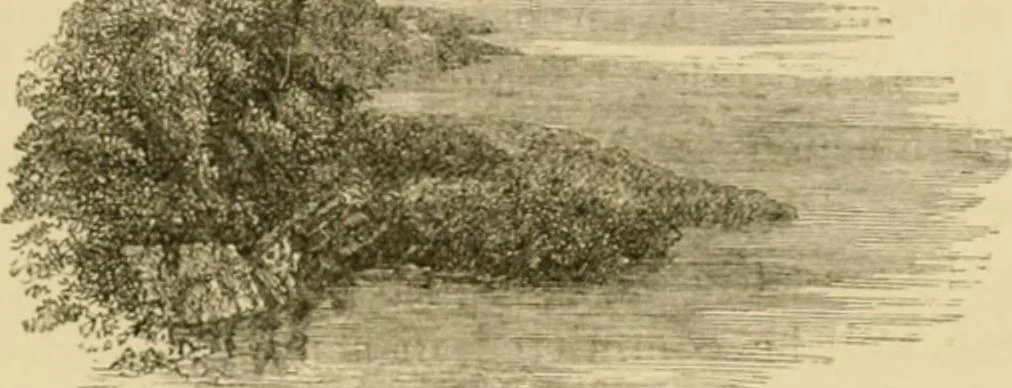 An illustration from The parks and gardens of Paris, considered in relation to the wants of other cities and of the public and private gardens; being notes on a study of Paris gardens, 1878, leaf 42