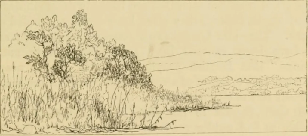 An illustration from The parks and gardens of Paris, considered in relation to the wants of other cities and of the public and private gardens; being notes on a study of Paris gardens, 1878, leaf 42