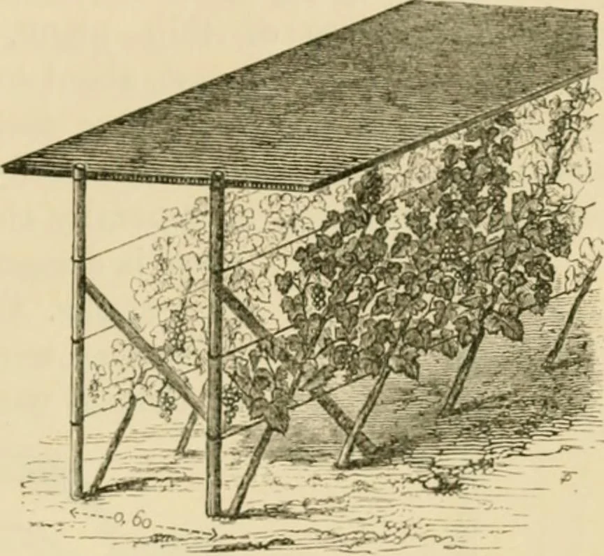 An illustration from The parks and gardens of Paris, considered in relation to the wants of other cities and of the public and private gardens; being notes on a study of Paris gardens, 1878, leaf 424
