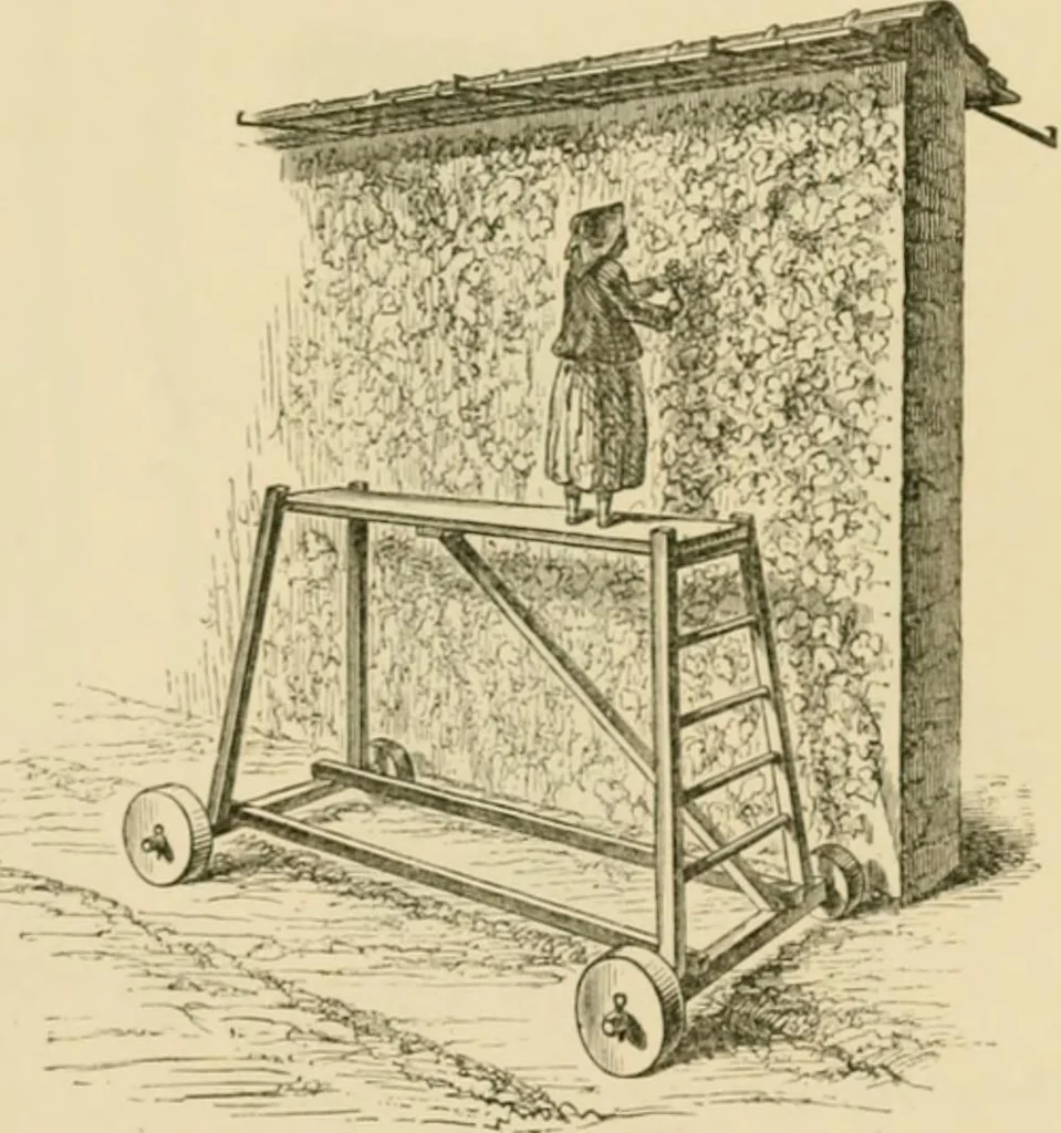 An illustration from The parks and gardens of Paris, considered in relation to the wants of other cities and of the public and private gardens; being notes on a study of Paris gardens, 1878, leaf 428