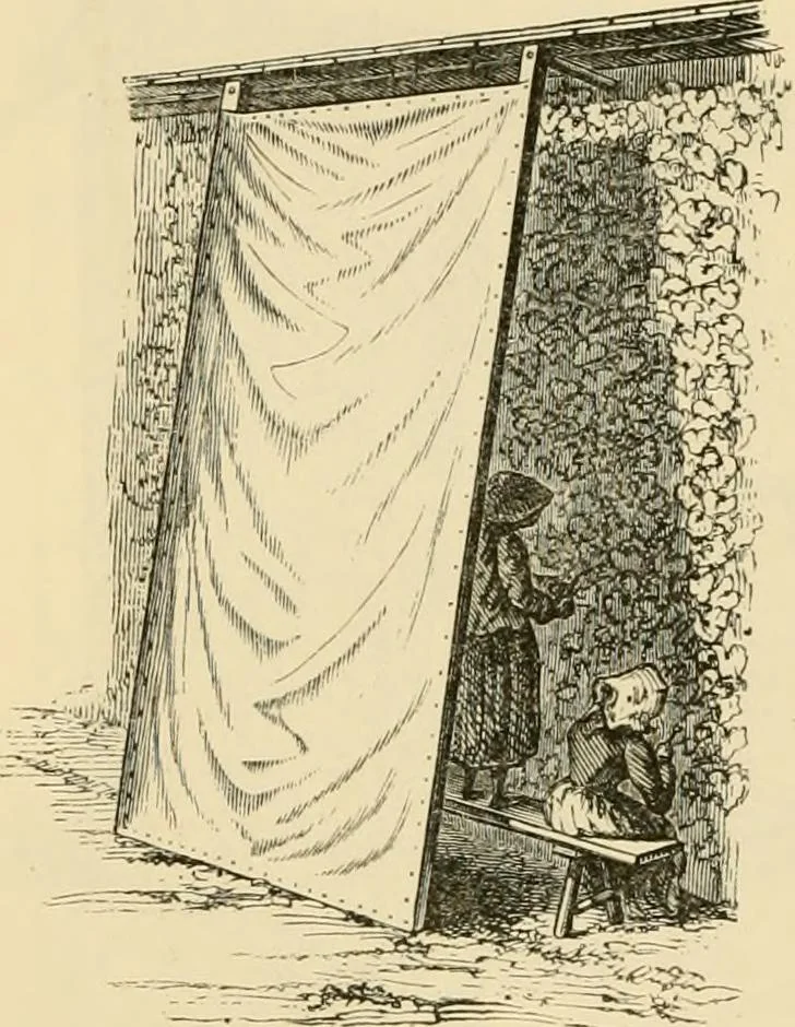 An illustration from The parks and gardens of Paris, considered in relation to the wants of other cities and of the public and private gardens; being notes on a study of Paris gardens, 1878, leaf 429