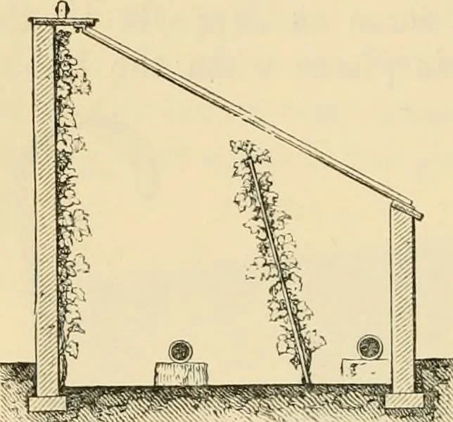 An illustration from The parks and gardens of Paris, considered in relation to the wants of other cities and of the public and private gardens; being notes on a study of Paris gardens, 1878, leaf 431