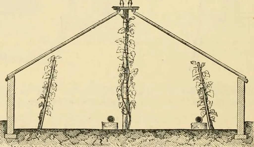 An illustration from The parks and gardens of Paris, considered in relation to the wants of other cities and of the public and private gardens; being notes on a study of Paris gardens, 1878, leaf 431
