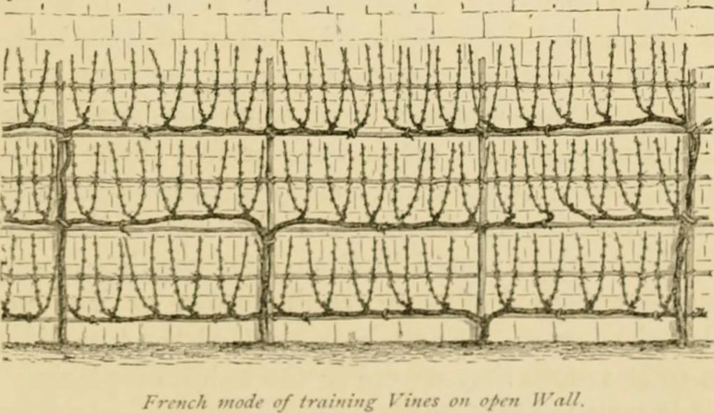 An illustration from The parks and gardens of Paris, considered in relation to the wants of other cities and of the public and private gardens; being notes on a study of Paris gardens, 1878, leaf 432