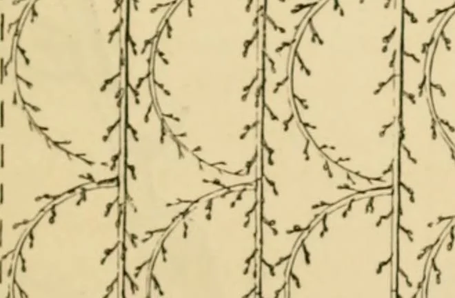 An illustration from The parks and gardens of Paris, considered in relation to the wants of other cities and of the public and private gardens; being notes on a study of Paris gardens, 1878, leaf 448