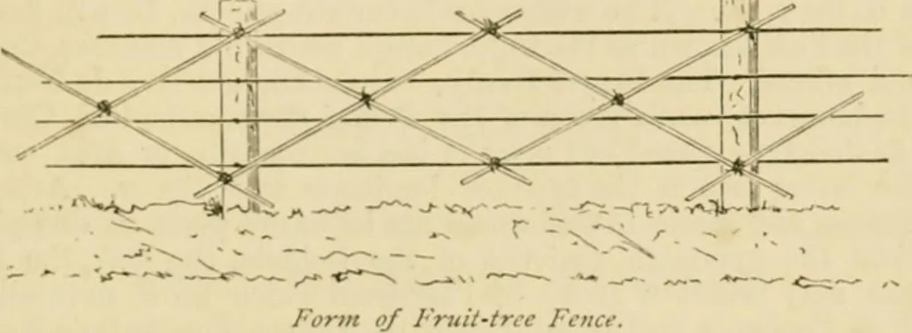 An illustration from The parks and gardens of Paris, considered in relation to the wants of other cities and of the public and private gardens; being notes on a study of Paris gardens, 1878, leaf 478