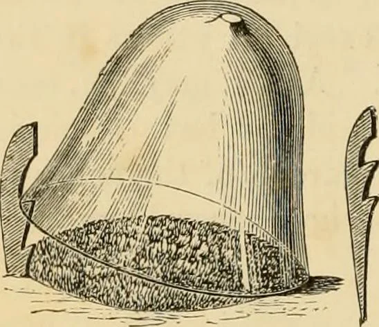 An illustration from The parks and gardens of Paris, considered in relation to the wants of other cities and of the public and private gardens; being notes on a study of Paris gardens, 1878, leaf 481