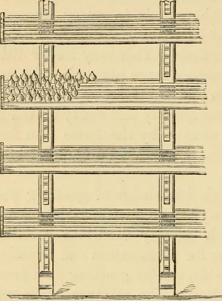 An illustration from The parks and gardens of Paris, considered in relation to the wants of other cities and of the public and private gardens; being notes on a study of Paris gardens, 1878, leaf 485