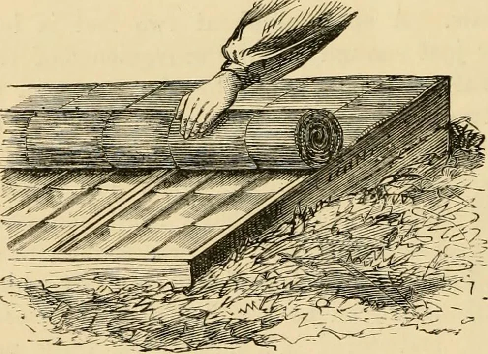 An illustration from The parks and gardens of Paris, considered in relation to the wants of other cities and of the public and private gardens; being notes on a study of Paris gardens, 1878, leaf 487