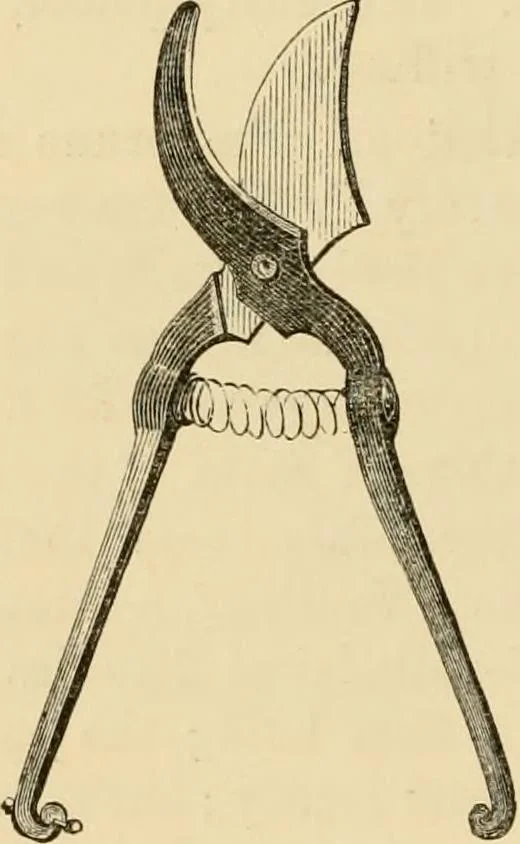 An illustration from The parks and gardens of Paris, considered in relation to the wants of other cities and of the public and private gardens; being notes on a study of Paris gardens, 1878, leaf 489