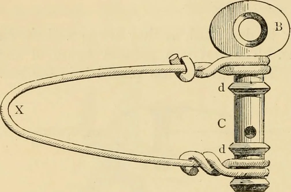 An illustration from The parks and gardens of Paris, considered in relation to the wants of other cities and of the public and private gardens; being notes on a study of Paris gardens, 1878, leaf 491