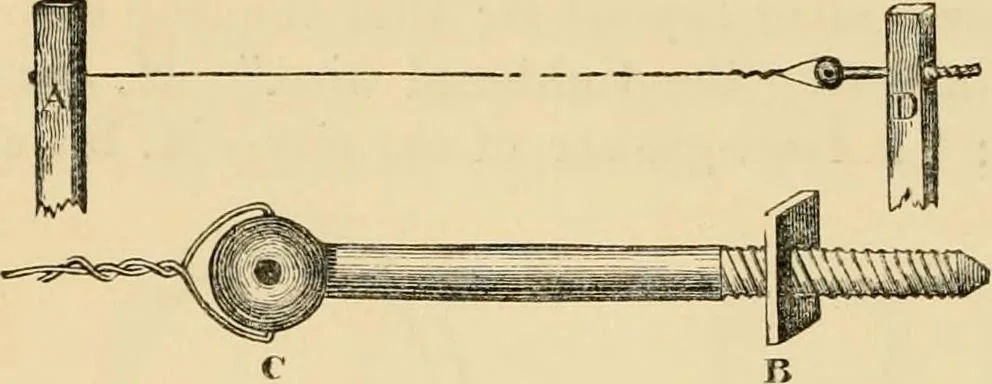 An illustration from The parks and gardens of Paris, considered in relation to the wants of other cities and of the public and private gardens; being notes on a study of Paris gardens, 1878, leaf 493