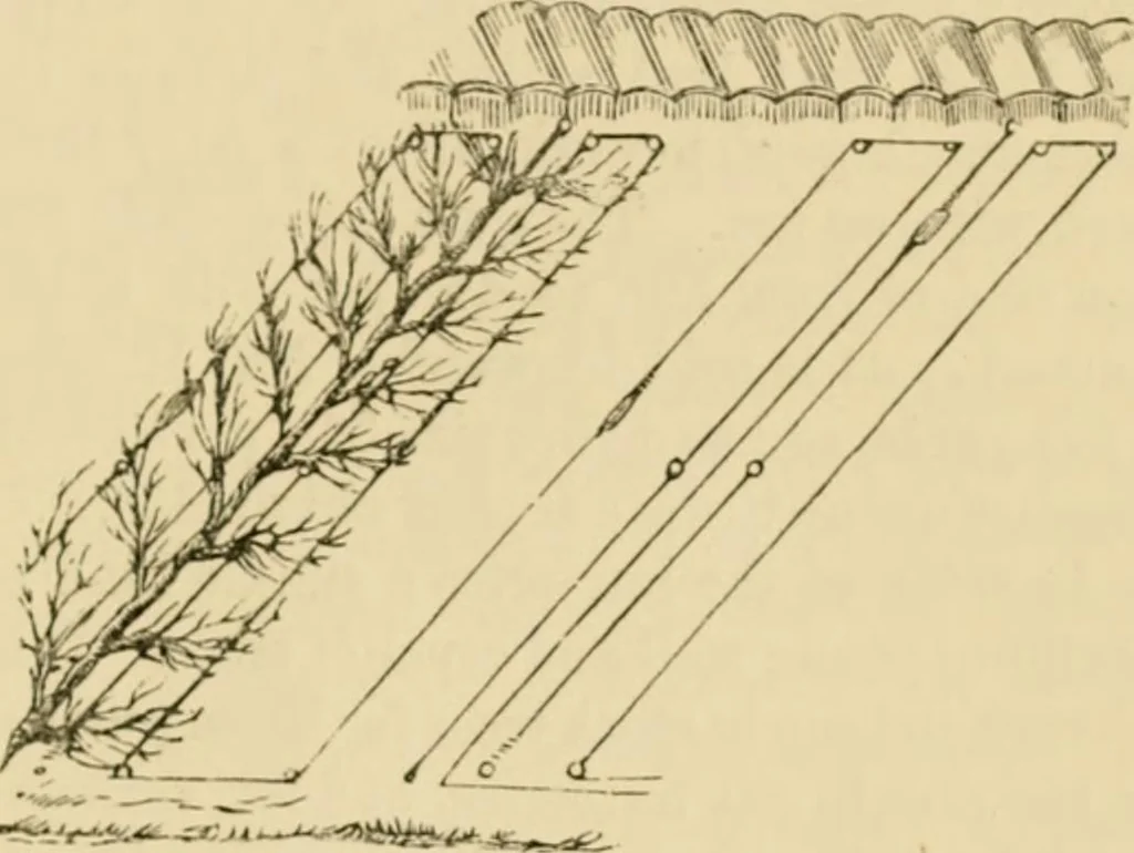An illustration from The parks and gardens of Paris, considered in relation to the wants of other cities and of the public and private gardens; being notes on a study of Paris gardens, 1878, leaf 498