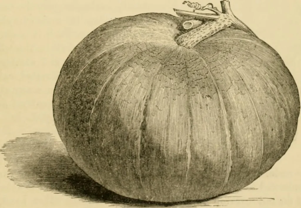 An illustration from The parks and gardens of Paris, considered in relation to the wants of other cities and of the public and private gardens; being notes on a study of Paris gardens, 1878, leaf 510