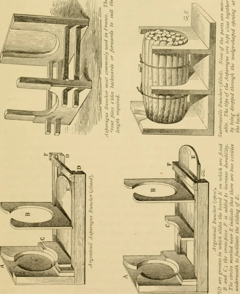 An illustration from The parks and gardens of Paris, considered in relation to the wants of other cities and of the public and private gardens; being notes on a study of Paris gardens, 1878, leaf 520
