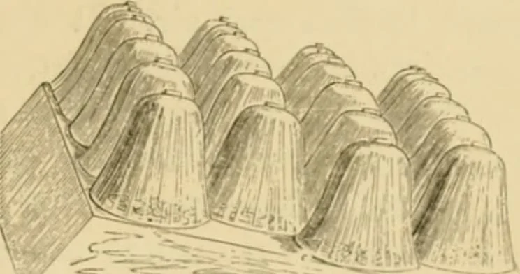 An illustration from The parks and gardens of Paris, considered in relation to the wants of other cities and of the public and private gardens; being notes on a study of Paris gardens, 1878, leaf 522