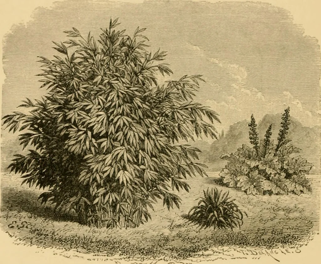 An illustration from The parks and gardens of Paris, considered in relation to the wants of other cities and of the public and private gardens; being notes on a study of Paris gardens, 1878, leaf 53
